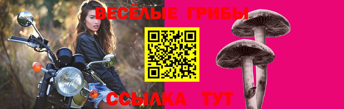 Псилоцибиновые грибы Psilocybine cubensis Егорьевск